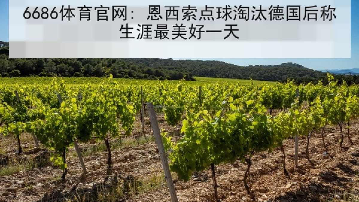 6686体育官网: 恩西索点球淘汰德国后称生涯最美好一天