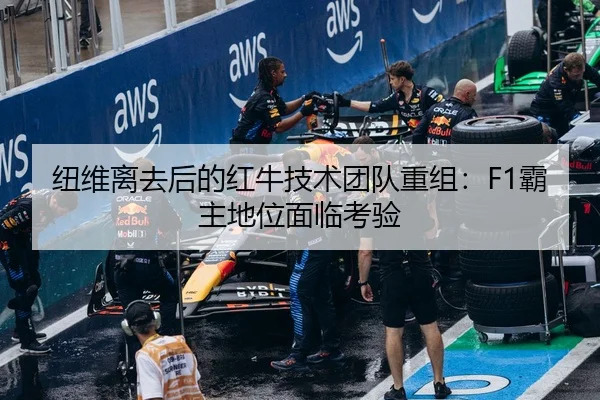 纽维离去后的红牛技术团队重组：F1霸主地位面临考验