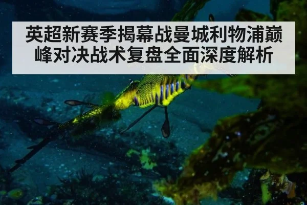 英超新赛季揭幕战曼城利物浦巅峰对决战术复盘全面深度解析